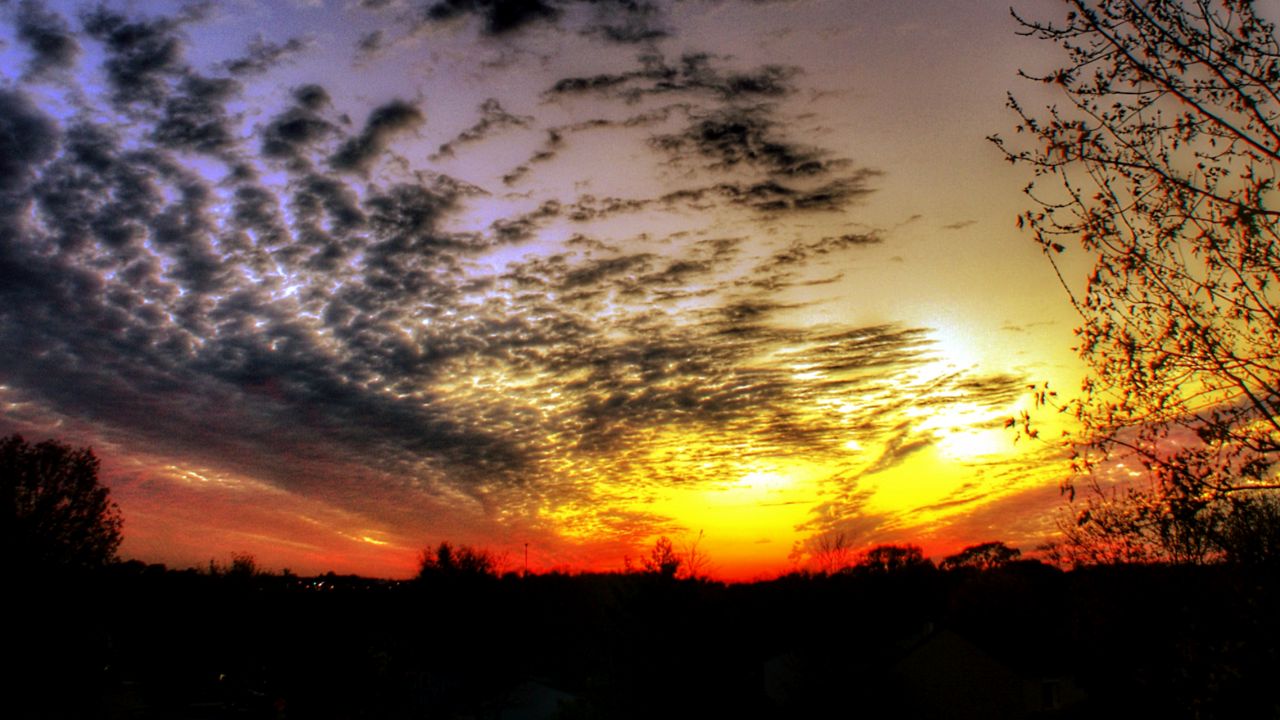 caroline rittner baby registry