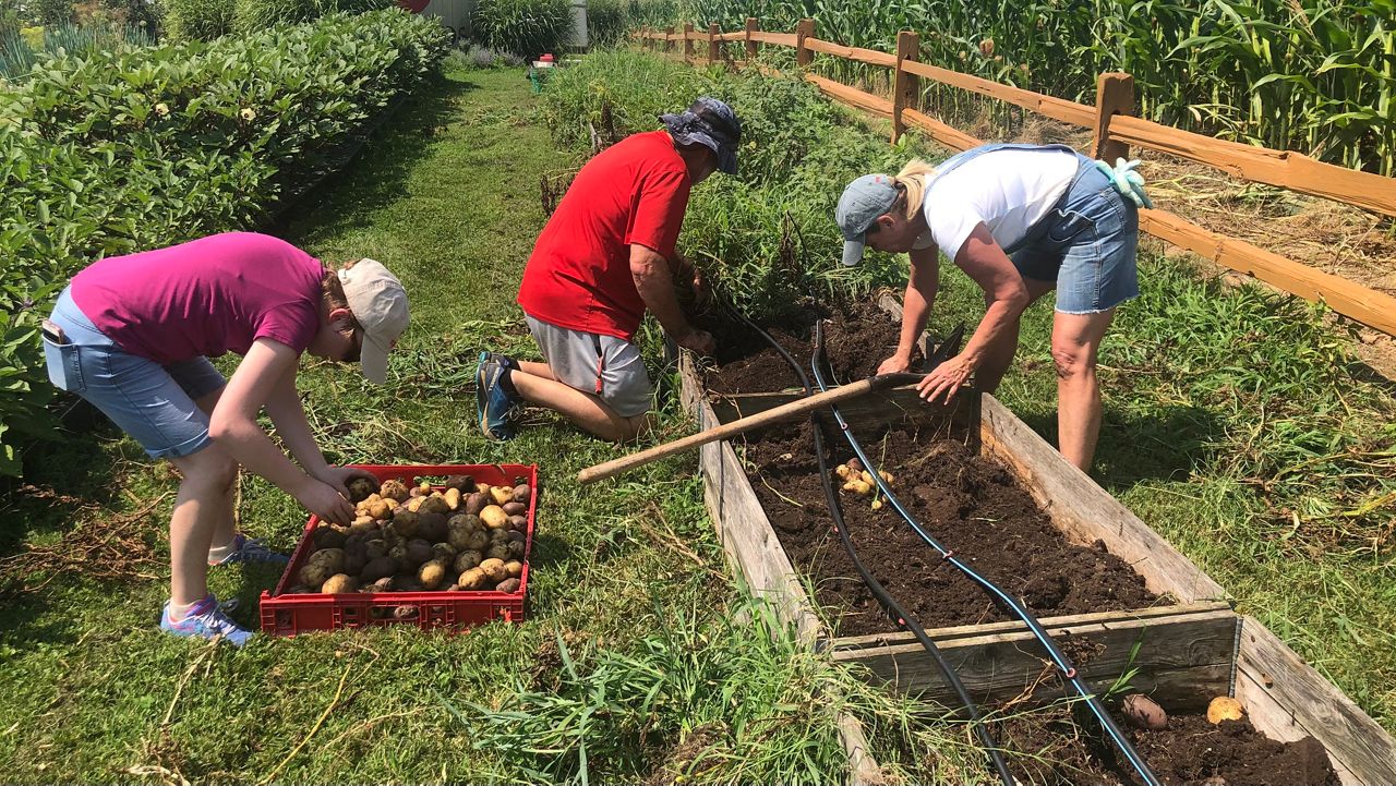 Top Crops nonprofit uses gardening to impact community