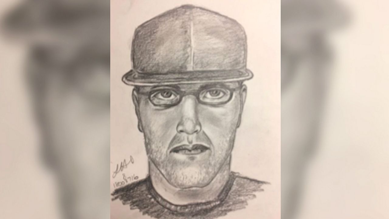 St. Cloud Police Department has released a composite sketch of the suspect behind the string of armed robberies in Osceola County. (St. Cloud Police)