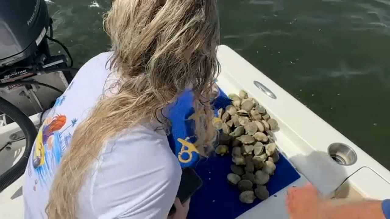 Florida boat captains fear loss of business after scallop season put on pause