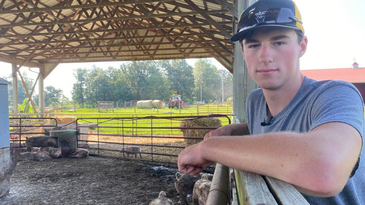 Young Meade County farmer takes career to the next level
