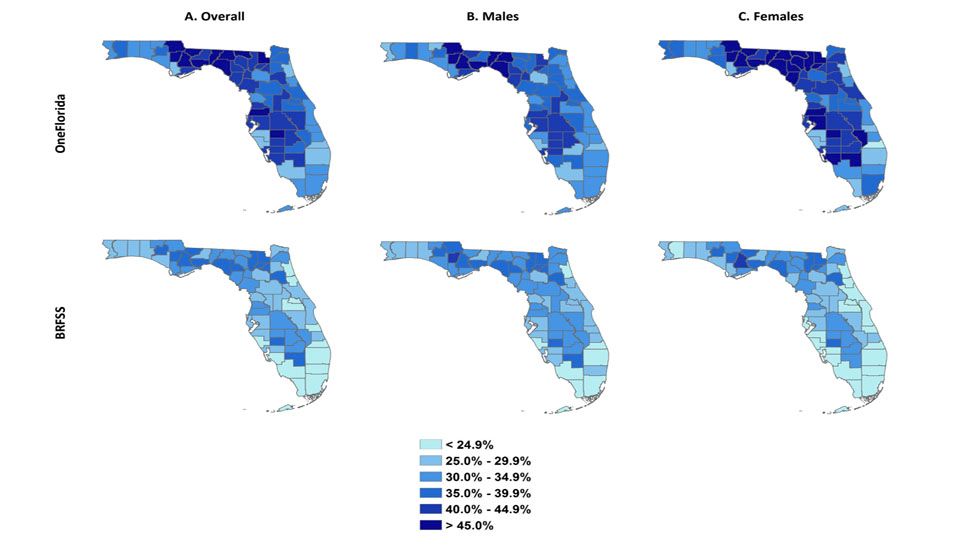 Study on obesity rates in Florida shows Tampa Bay is at bigger risk than originally thought. 