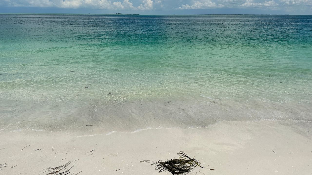 Shark bites man near Bean Point on Anna Maria Island