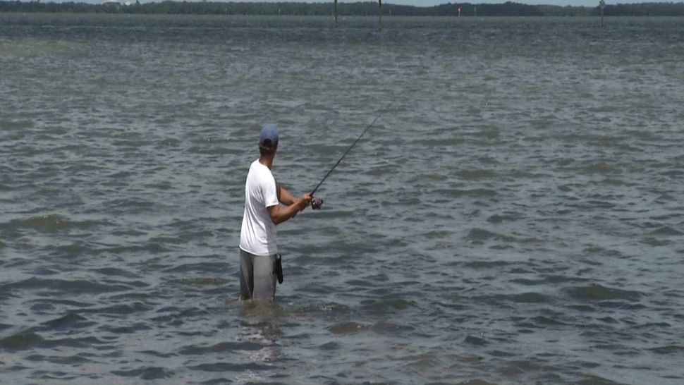 shore-based sharking fishing file photo