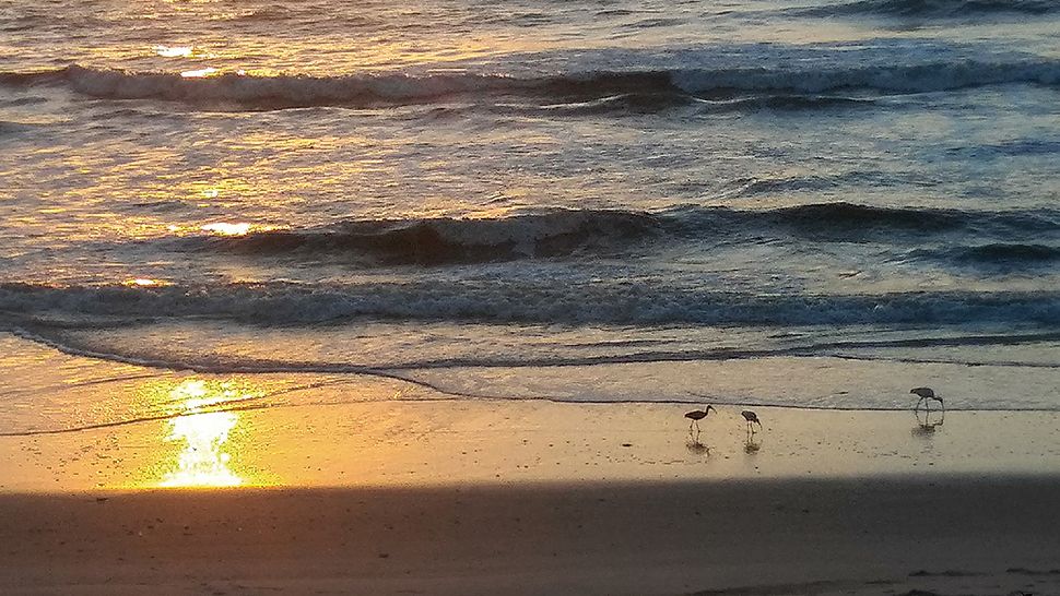 Submitted via the Spectrum News 13 app: Satellite Beach saw a bright, new day on Sunday, Aug. 5, 2018. (Mark Smith, viewer)