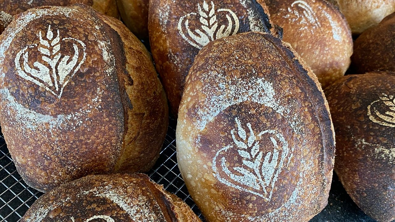 Cast Your Bread connects charities to bakers donating their time, labor and bread (Courtesy Kate McLaughlin)