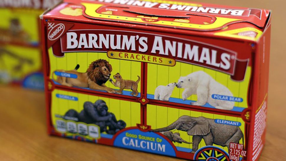 Boxes of Nabisco’s Barnum’s Animals crackers are seen in Chicago. After more than a century behind bars, the beasts on boxes of animal crackers are roaming free. The new boxes retain their familiar red and yellow coloring and prominent “Barnum’s Animals” lettering. But instead of showing the animals in cages, implying that they’re traveling in boxcars for the circus, the new boxes feature a zebra, elephant, lion, giraffe and gorilla wandering side-by-side in a grassland. (Kiichiro Sato, AP)