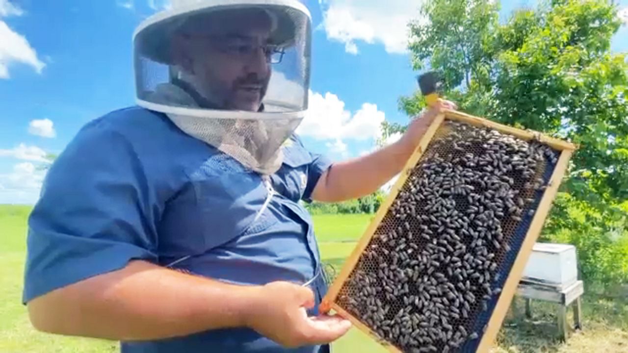 A honey of a time at Heritage Bee Farm