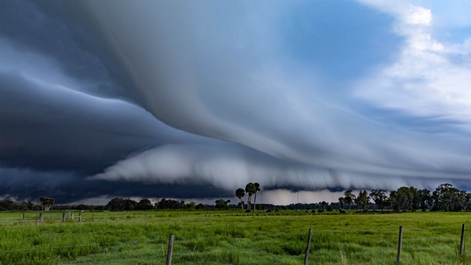 IMD Weather Forecast Report: Indian Meteorological Department (IMD) predicted weather over Punjab, Haryana, and Chandigarh in the coming days.