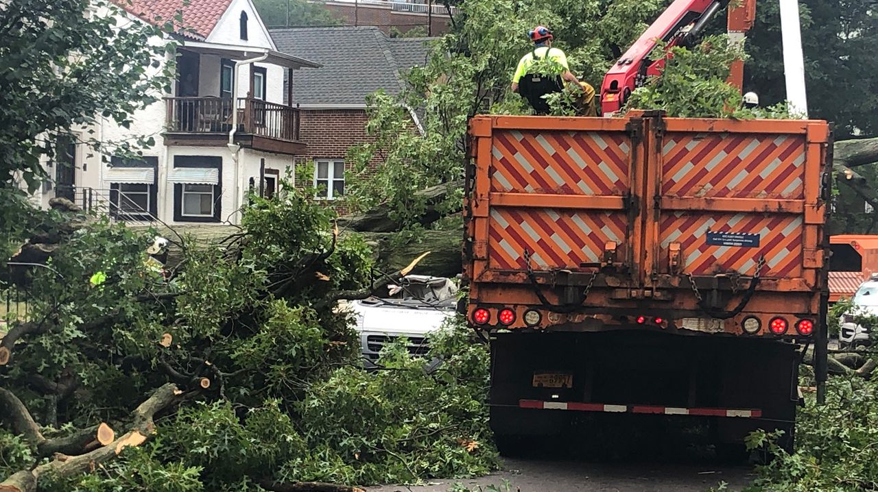 Trees down near truck