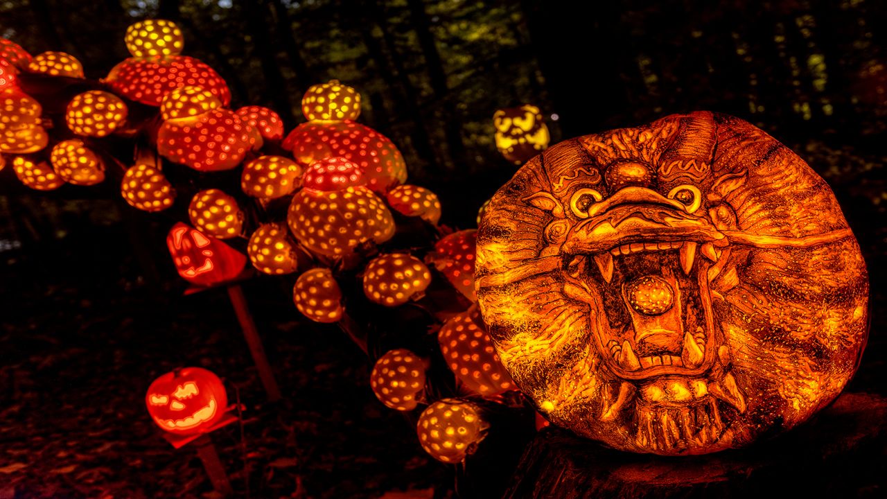 Still Spectacular, But You'll Be Driving Through Iroquois Park to See Pumpkins