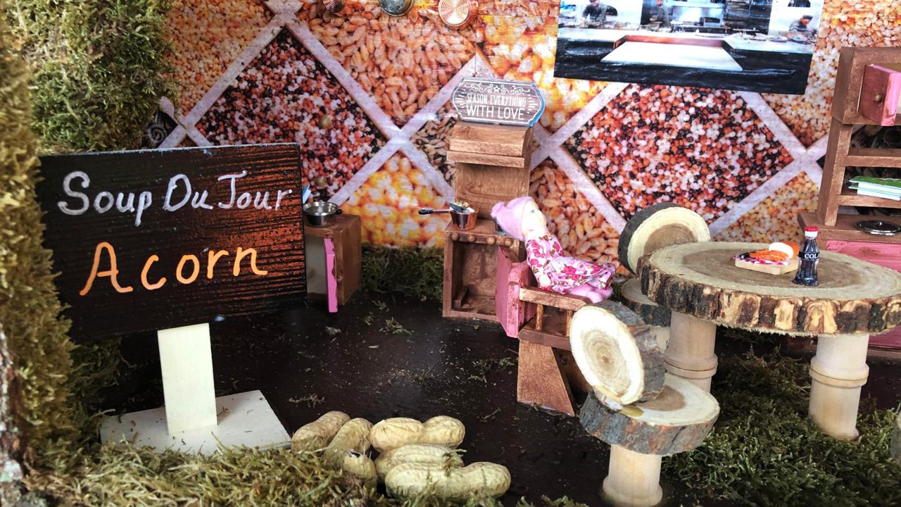 Florida Teacher Creates Squirrel Playground in Quarantine