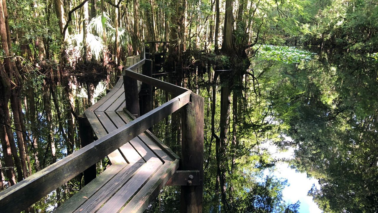 Florida on a Tankful Highlands Hammock State Park