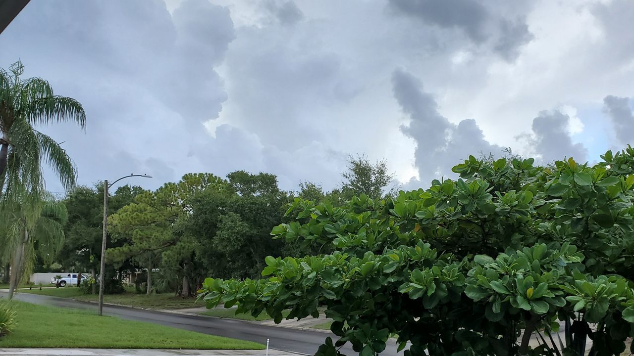 Cloudy skies in St. Petersburg Wednesday morning. (Patricia Price via our Spectrum Bay News 9 app)