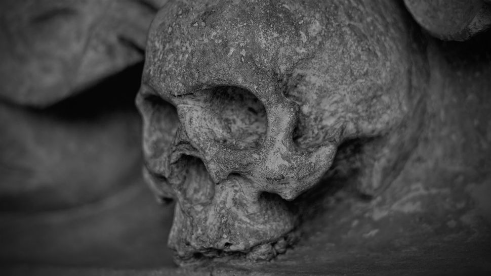 A human skull appears in this undated file image. (Spectrum News/File)