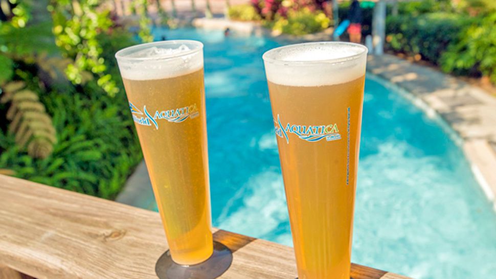 Aquatica Orlando is offering a free 14-ounce beer to visitors through September 2. (Courtesy of SeaWorld)