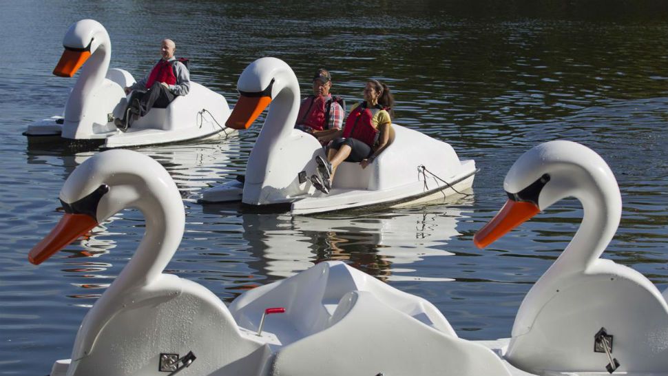 Harvey-Waterway Cruisers Visitors take one of a dozen swan paddleboats out for a spin at Riva Row Park on Tuesday, Aug. 7, 2018, in The Woodlands. The Woodlands Township Board of Directors voted in June 2017 to add a dozen of the swan boats at a cost of $57,000. (Jason Fochtman/Houston Chronicle via AP)