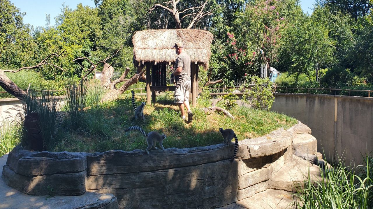 What's New at the Louisville Zoo