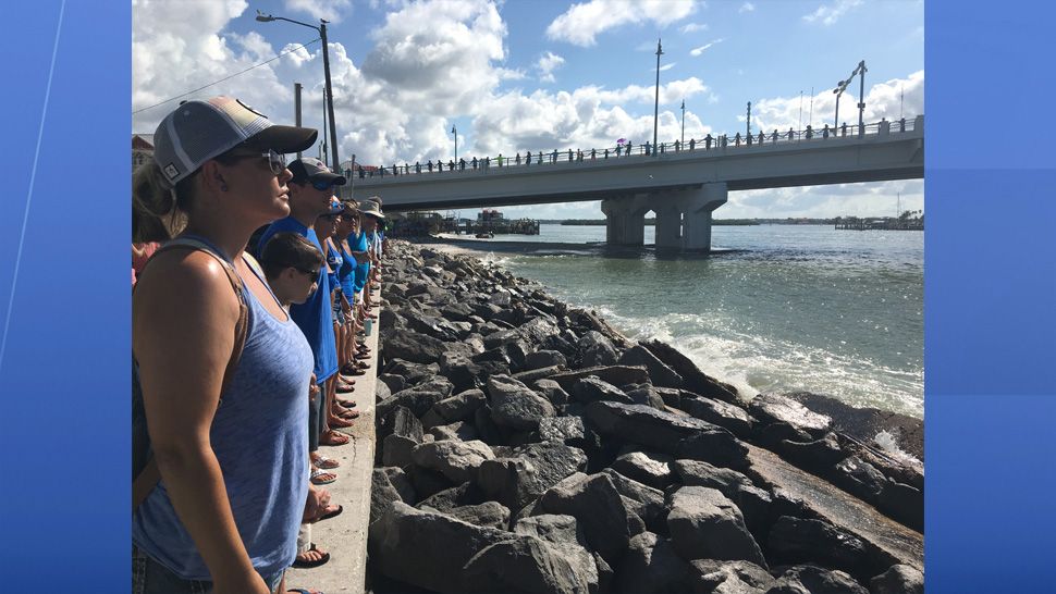 People from all across Florida joined hands today in a peaceful protest. "Hands Along the Water" was a symbolic event to raise awareness about the affects algae blooms can have on our water and marine life. (Jorja Roman, staff)