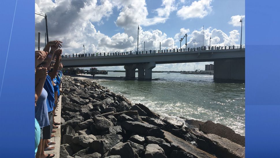 People from all across Florida joined hands today in a peaceful protest. "Hands Along the Water" was a symbolic event to raise awareness about the affects algae blooms can have on our water and marine life. (Jorja Roman, staff)