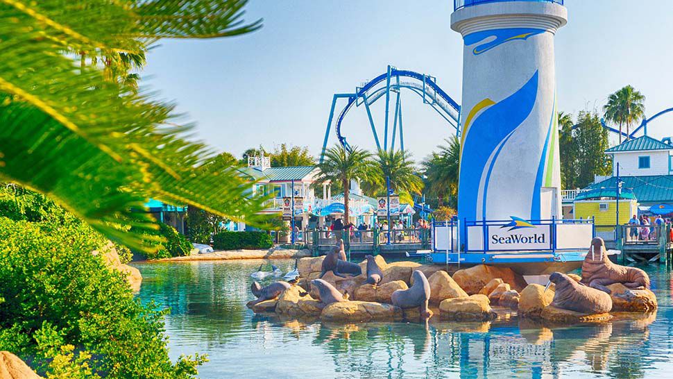 SeaWorld Orlando.