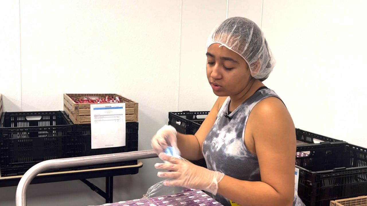 Student volunteers at Orange food bank to help children