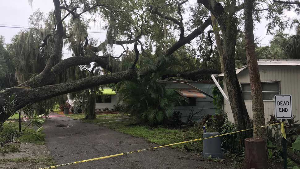 Multiple Homes Bradenton Mobile Home Park Damaged by Tree