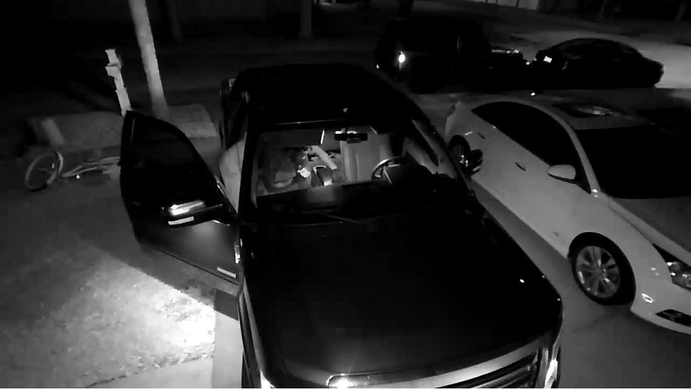 The Hillsborough County Sheriff's Office has released new surveillance video in the hopes of catching two thieves. 
