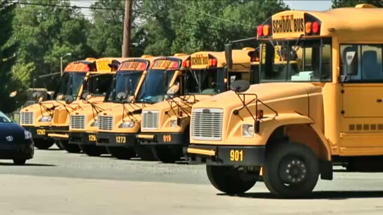 School buses line up to transport students. 