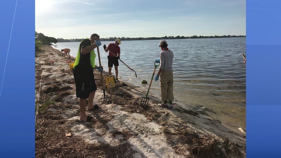 Volunteers lend a hand Wednesday morning in clean up efforts on the Palma Sol Causeway. (Fallon Silcox, staff)