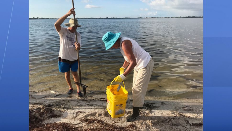 Volunteers lend a hand Wednesday morning in clean up efforts on the Palma Sol Causeway. (Fallon Silcox, staff)
