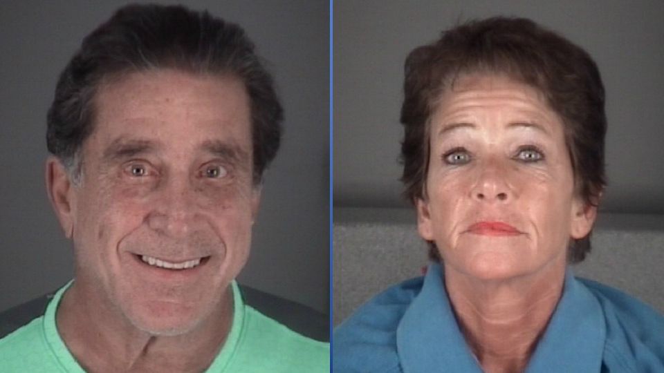 Dale Massad, Annette Joseph face charges (Pasco County Sheriff's Office images)