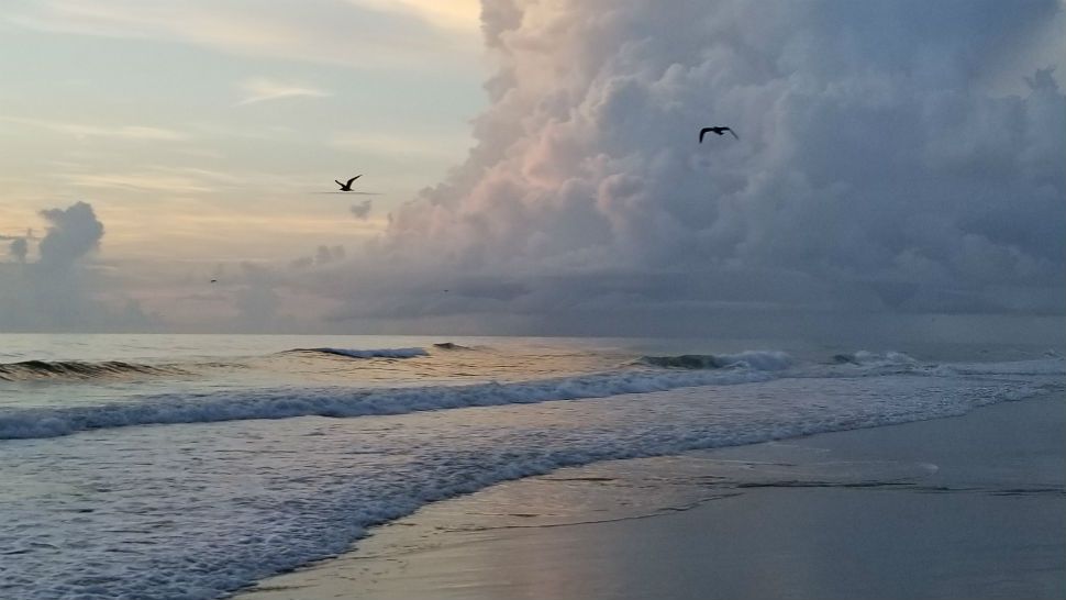 Submitted via the Spectrum News 13 app: Sunrise in Daytona Beach Shores, Saturday, Aug. 25, 2018. (Terri Edwards, viewer)