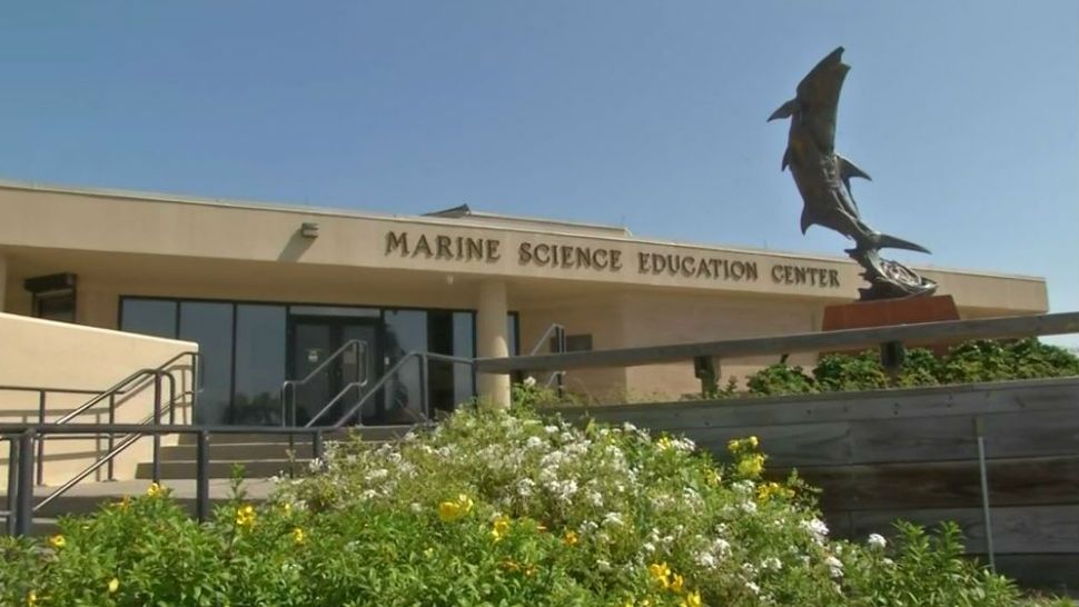 UT Marine Science Institute still rebuilding post Harvey