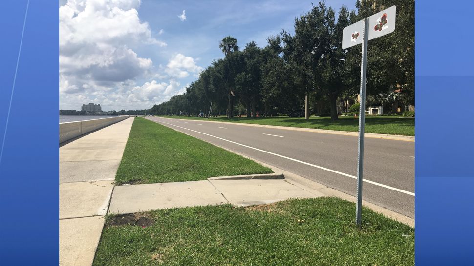 Stretch of Bayshore Boulevard in Tampa where a fatal crash connected to alleged street racing occurred in May 2018. (Jorja Roman/Spectrum Bay News 9)