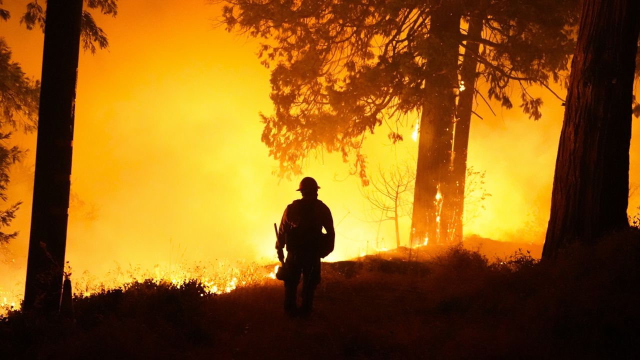 A member of the Laguna Hotshots, out of the Cleveland National Forest, monitors flames caused by the Creek Fire, Sunday, Sept. 6, 2020, in Big Creek, Calif. (AP Photo/Marcio Jose Sanchez)