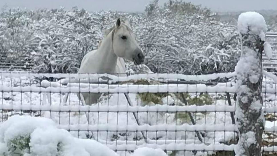 Frosty forecast predicted for Texas winter