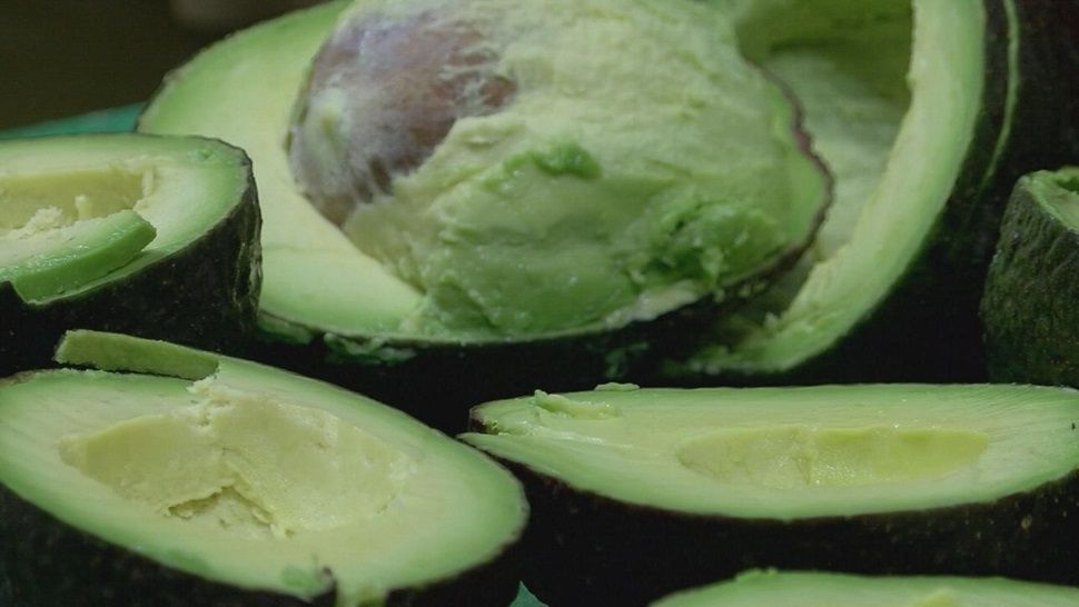 Several universities are teaming up to see if avocados can help with weight loss. (Spectrum Bay News 9 image)