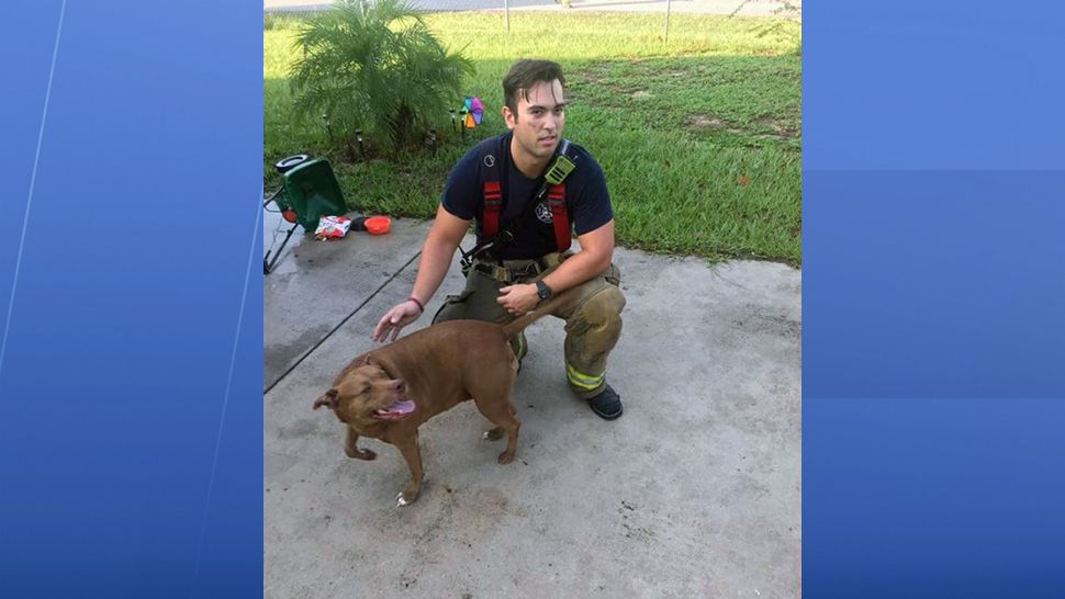 No injuries were reported and Lilly, the dog, was kept away from the burning house. (Marion County Fire Rescue) 