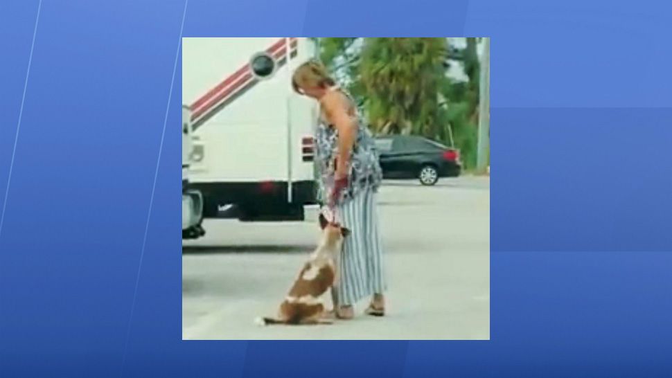 The video shows 26-year-old Michelle Sieber allegedly lifting the dog off the ground by its leash, which appears to choke the dog. (Vincent Minutello)