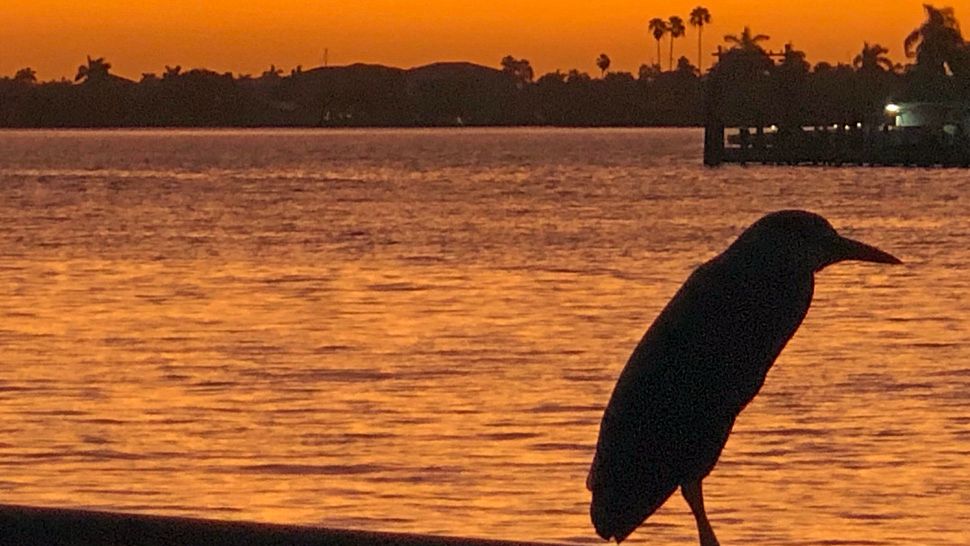  Sent to us with the Spectrum News 13 app: Someone was enjoying the start of a new day on Monday, September 23, 2019. (Photo courtesy of Capt. Scottie, viewer)