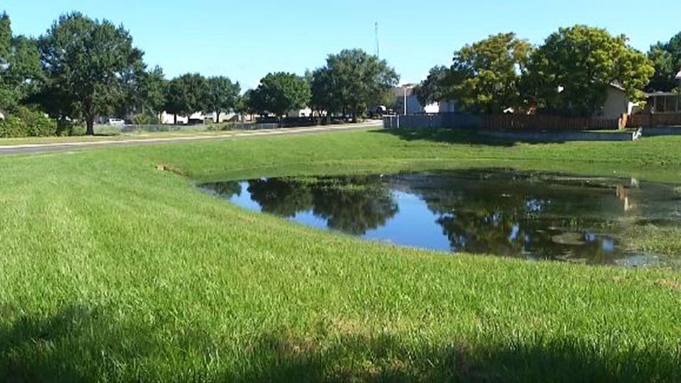 A man drowned early Saturday after jumping into a retention pond as he fled from deputies, according to the Orange County Sheriff's Office. 