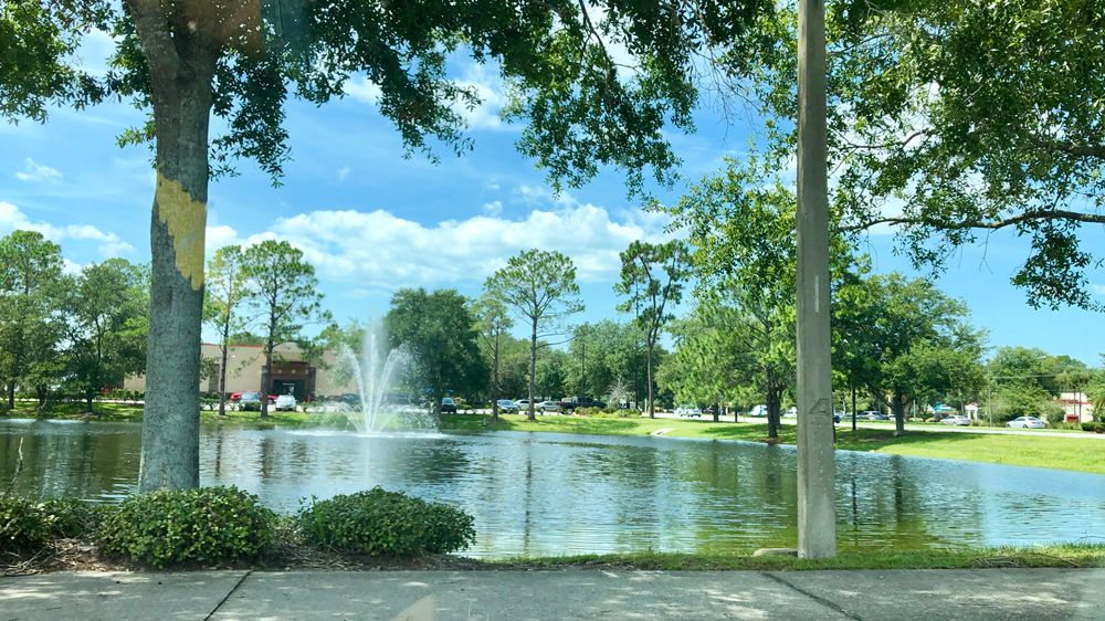 Submitted via the Spectrum News 13 app: A sunny day in Palm Coast, Friday, September 6. (Joyce Connolly, Viewer)