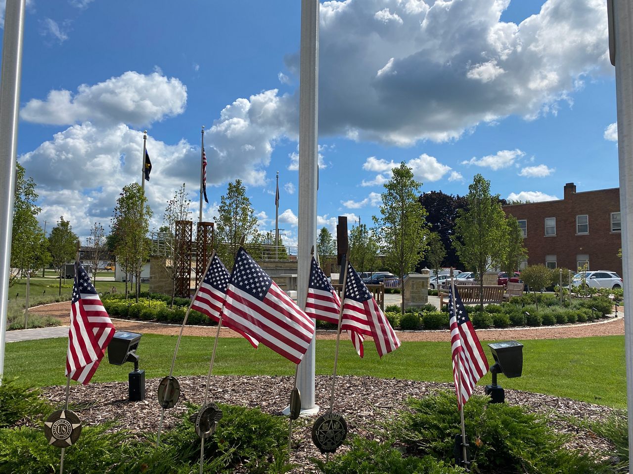 Survivor Tree seedlings are symbol of rebirth in Wisconsin