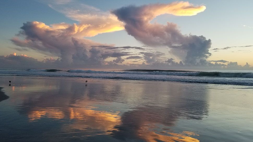 Submitted via the Spectrum News 13 app: Beautiful day at the beach in Daytona Beach Shores, Sunday, Sept. 9, 2018. (Terri Edwards, viewer)