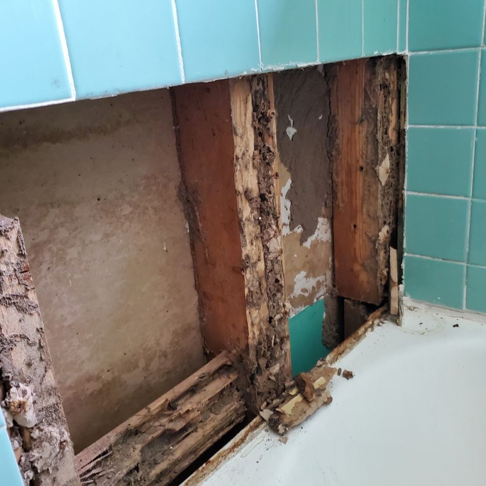 Rotted, chewed-up wood is visible behind the bathroom wall of this Kissimmee rental unit in this photo from late 2020. The bathroom's wall has since been replaced. (Courtesy Savitri Houston)