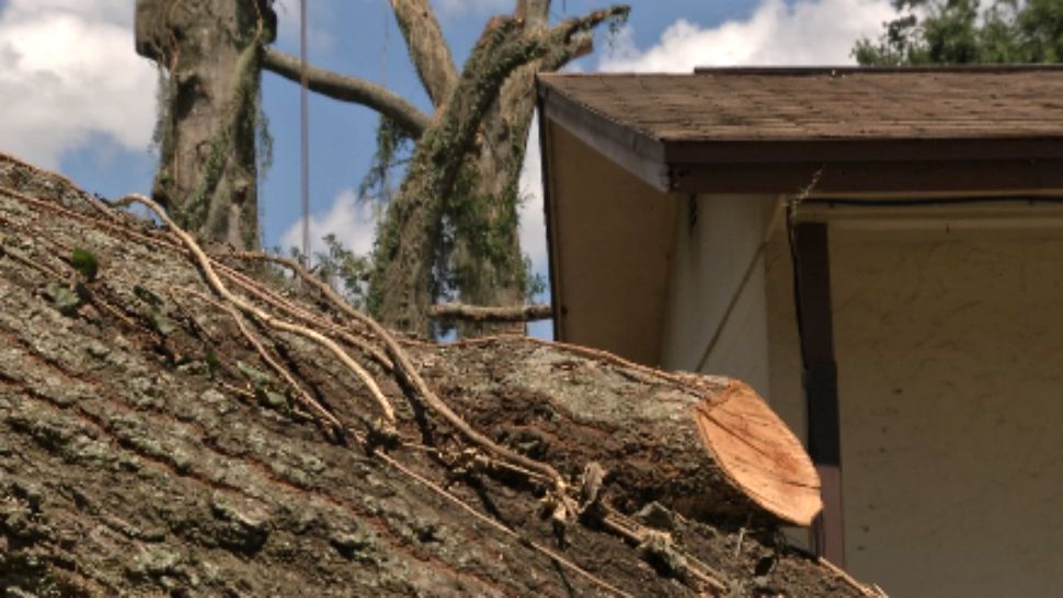 Seminole County officials say people can take steps now to avoid having stacks of tree debris at curbs across the county that caused major problems. (Spectrum News image)