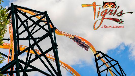 SeaWorld, Busch Gardens holding coaster challenge Wednesday