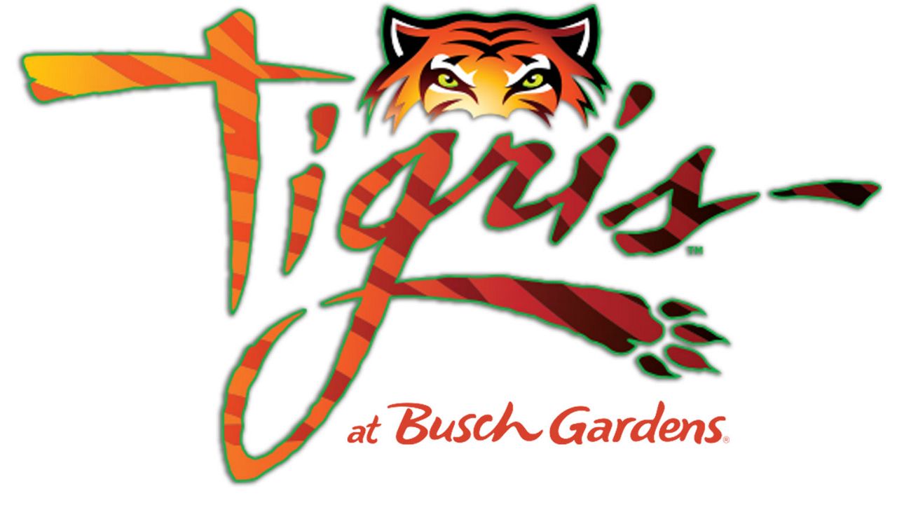 Tigris, a new roller coaster, is coming to Busch Gardens in Spring 2019. (Busch Gardens)