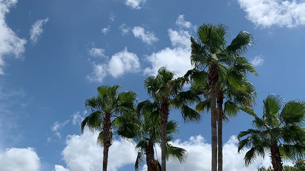 Submitted via the Spectrum News app: Beautiful day in the Dr. Phillips area, Thursday, September 12, 2019. (Courtesy of viewer Karen Lary)